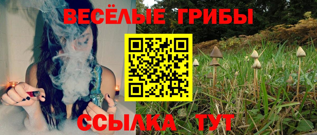 Галлюциногенные грибы MAGIC MUSHROOMS Ишимбай